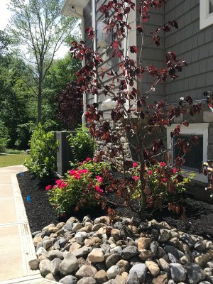 Landscape Services