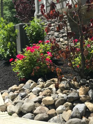 Landscape Services