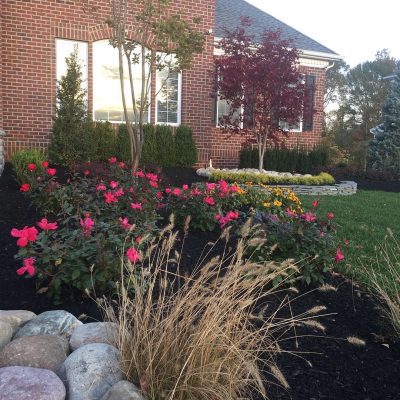 Landscape Services