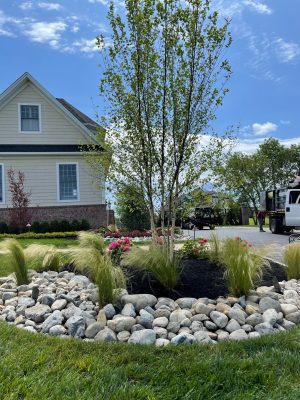 Landscape Services